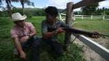 Brokeback Mountain da thailandia snapshot 10