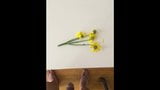 リー・ゲレーロのための花、3 snapshot 2