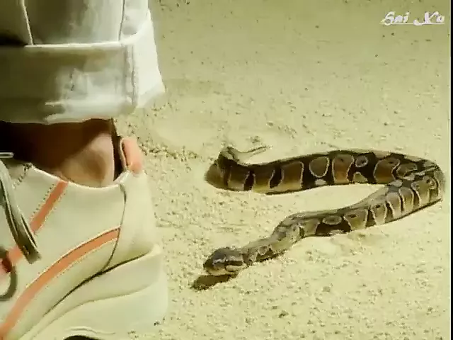 Videoda vaginal chuqurlikni olchash