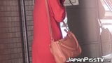 公共のおしっこ中に毛深いマンコを露出する日本人美女 snapshot 4