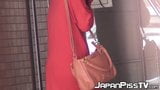 Japanese cuties flash hairy pussies during public peeing snapshot 4