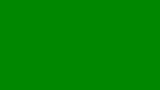緑のヒップスター snapshot 16