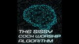 The Sissy Algorithm snapshot 7