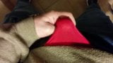 Jerking off in red panties at work snapshot 7