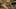 Anita Blond - клип с трахом в отеле (Memoires D&#39;un Pervers)