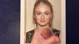 Трибьют для Sophie Turner snapshot 2