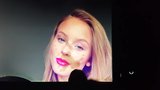 Eerbetoon aan Zara Larsson snapshot 6