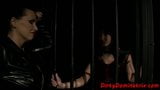 Tiedup caged sub zostaje dildofucked bdsm snapshot 1