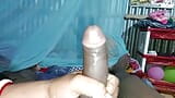 Desi tante muschi-ficken snapshot 6