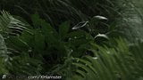 21naturals Sommerzeit-Analliebe im Regen snapshot 16