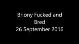 Briony Fucked and Bred snapshot 1