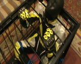 Yellow and black - the bikerslave is in the cage snapshot 3