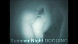 Sommernacht Dogging snapshot 1