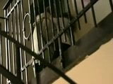 Cute German girl Fucked on the stairs snapshot 4