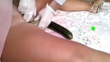 Zucchini and cucumber for the Italian doctor Nadia snapshot 10