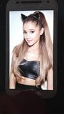 Hommage au sperme Ariana Grande snapshot 1