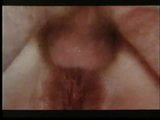 Wunsche und Perversionen (1976) aka Desirs et perversions snapshot 13