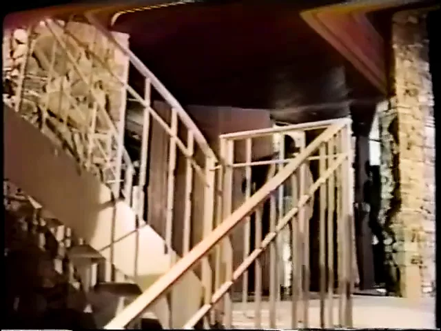 特殊待遇 (1991)