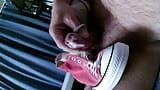 Converse-sneakersplezier weer leuk snapshot 10