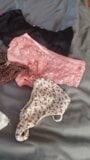 Bras and Panties from neighbor 2 snapshot 1