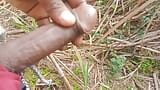 Land urine in sugarcane field hand and job mudhe mare snapshot 8