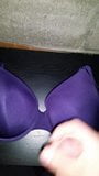 Bailey's big 38C bra sprayed with cum snapshot 5