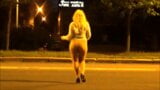 Flashing-Night Walk no skirt snapshot 5