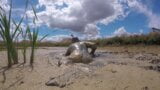 Extreme mud bath with head dunks, summer 2020 snapshot 5