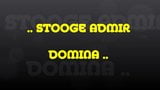 stooge admir DOMINA snapshot 1