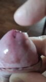 Pre cum close up. snapshot 2