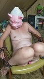 Pig fuck snapshot 3