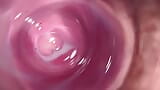 Camera inside my tight creamy pussy, Internal view of my horny vagina snapshot 12