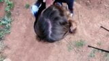 Public blowjob with pigtails snapshot 5