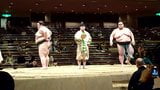 Orora Sumo  Natsubasho 2013 snapshot 1