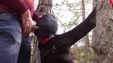 Tied to a tree, masked and outdoor deepthroated with no mercy snapshot 6