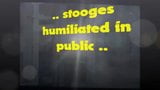 stooges humiliated in public snapshot 1