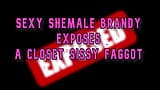 Sexy Shemale Brandy Exposes a Closet Sissy Fag Online snapshot 7