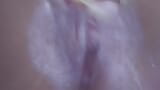 shave pink pussy snapshot 2