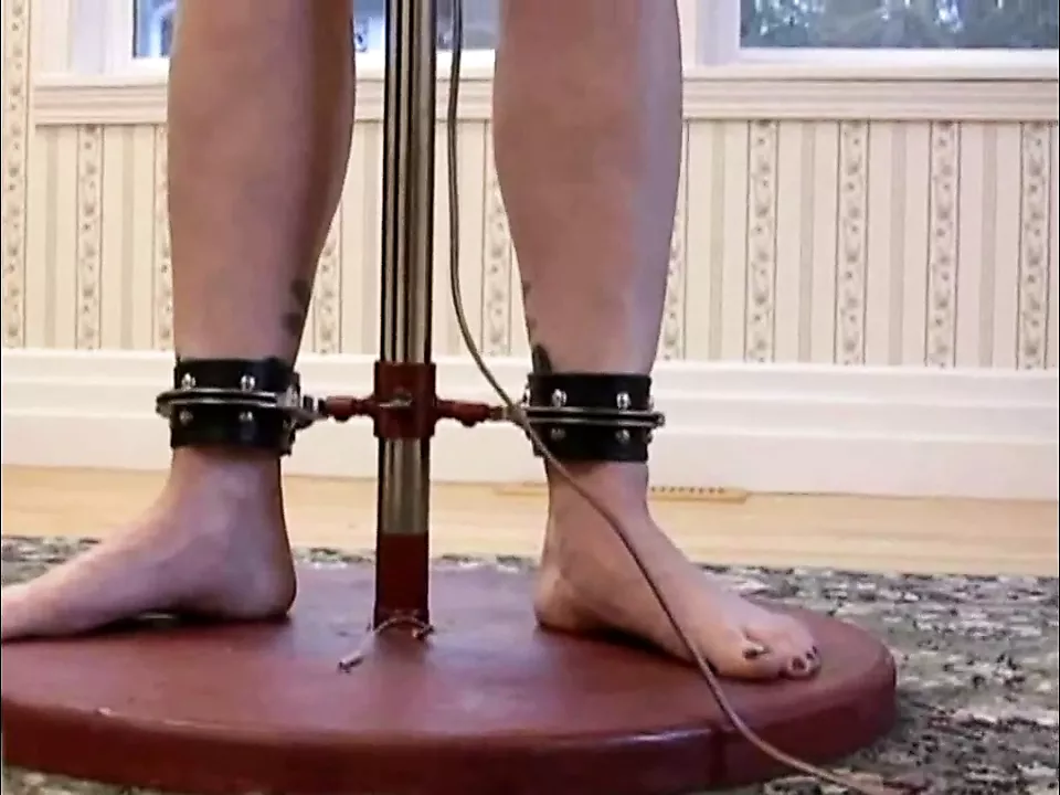 standing pole trainer
