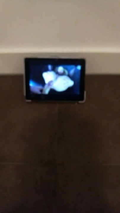 Absolutely big and long distance cumshot , huge load | xHamster