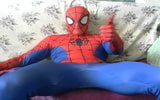 Spiderman snapshot 8