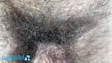 मेरी गांड की प्यारी झाड़ीदार यात्रा - मौखिक वीडियो! snapshot 6