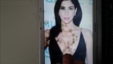 Sarah Silverman Cum Tribute snapshot 8