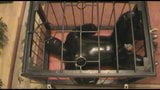 The Rubberpet in the cage snapshot 5