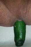 Turk gay cucumber snapshot 10