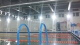 Dia de natacion snapshot 7