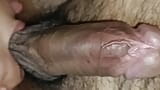 Sucked my huge cock snapshot 7