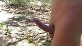 Naked oudoor wank trip 1 - w lesie - rozszerzona wersja snapshot 1