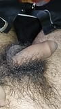 Small black hairy cock snapshot 3