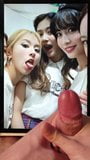 Cum Tribute - Twice Momo, Chaeyoung, Tzuyu snapshot 6